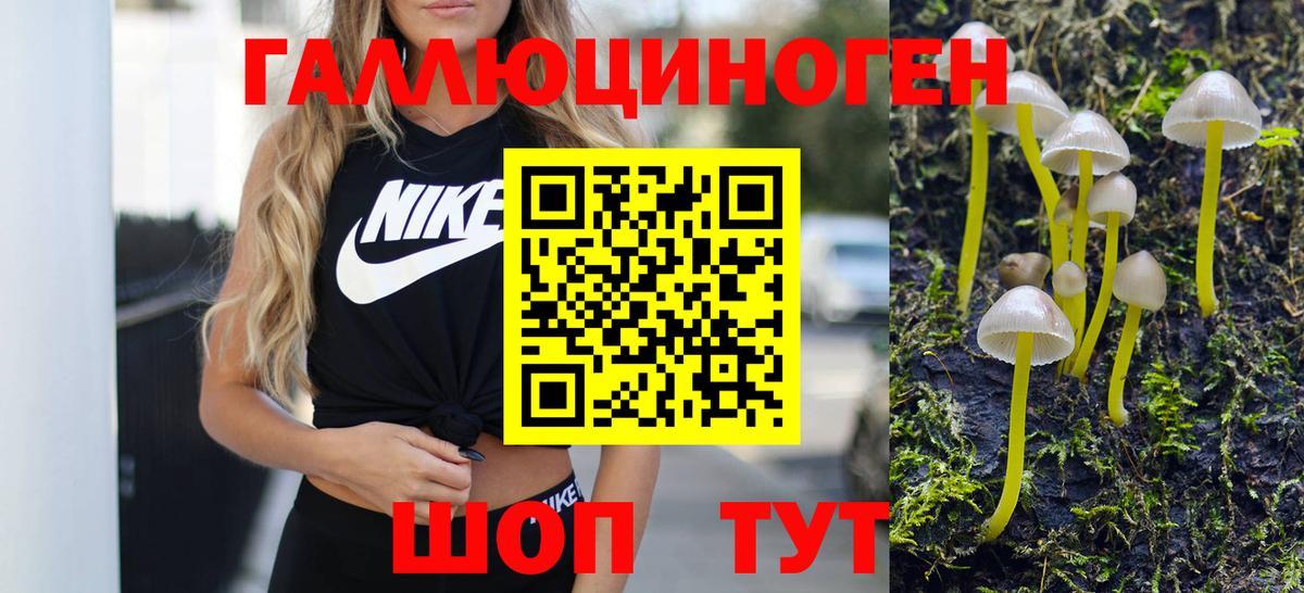 Камень-на-Оби  Псилоцибиновые грибы ЛСД  Вход с VPN 